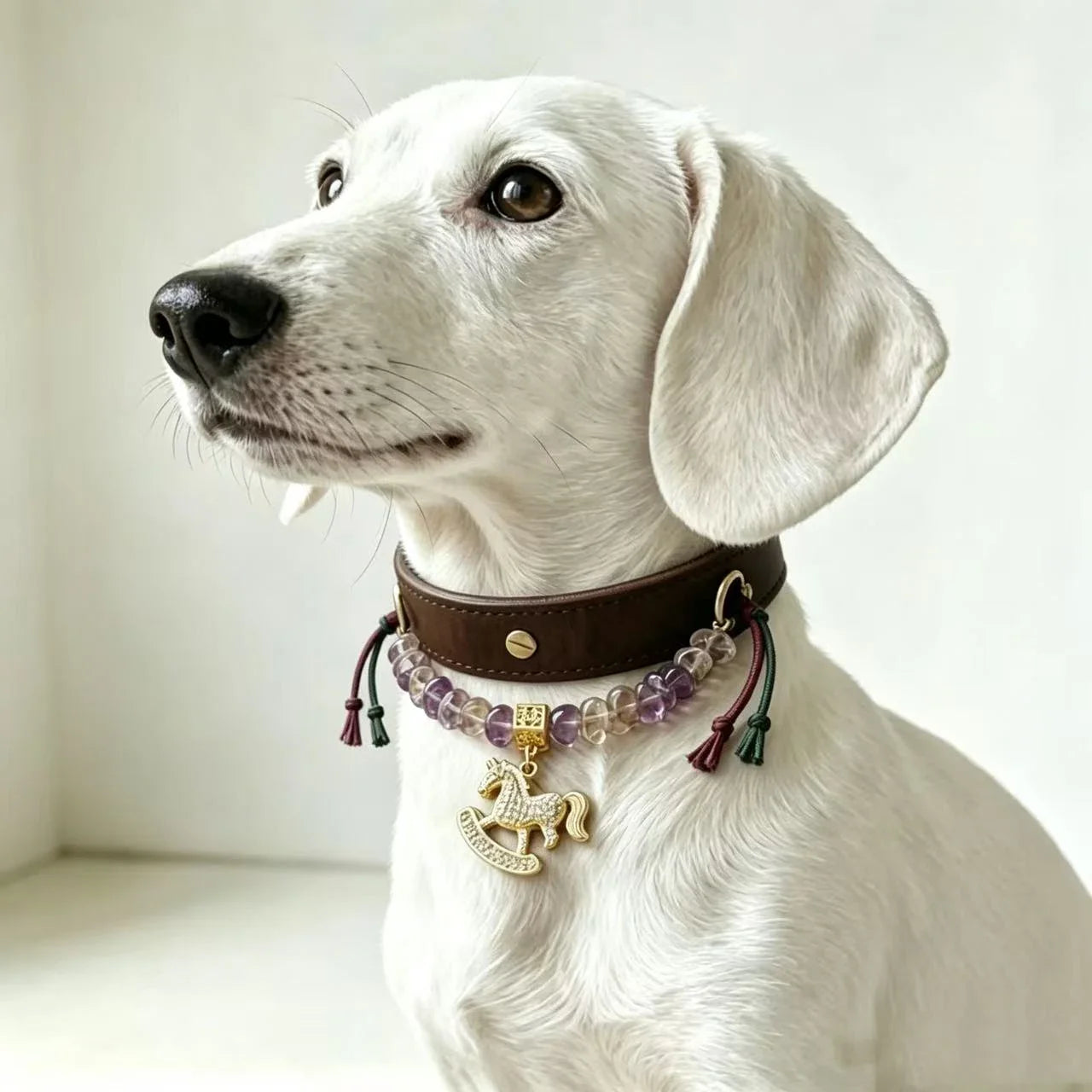 Healing Crystals for Dogs