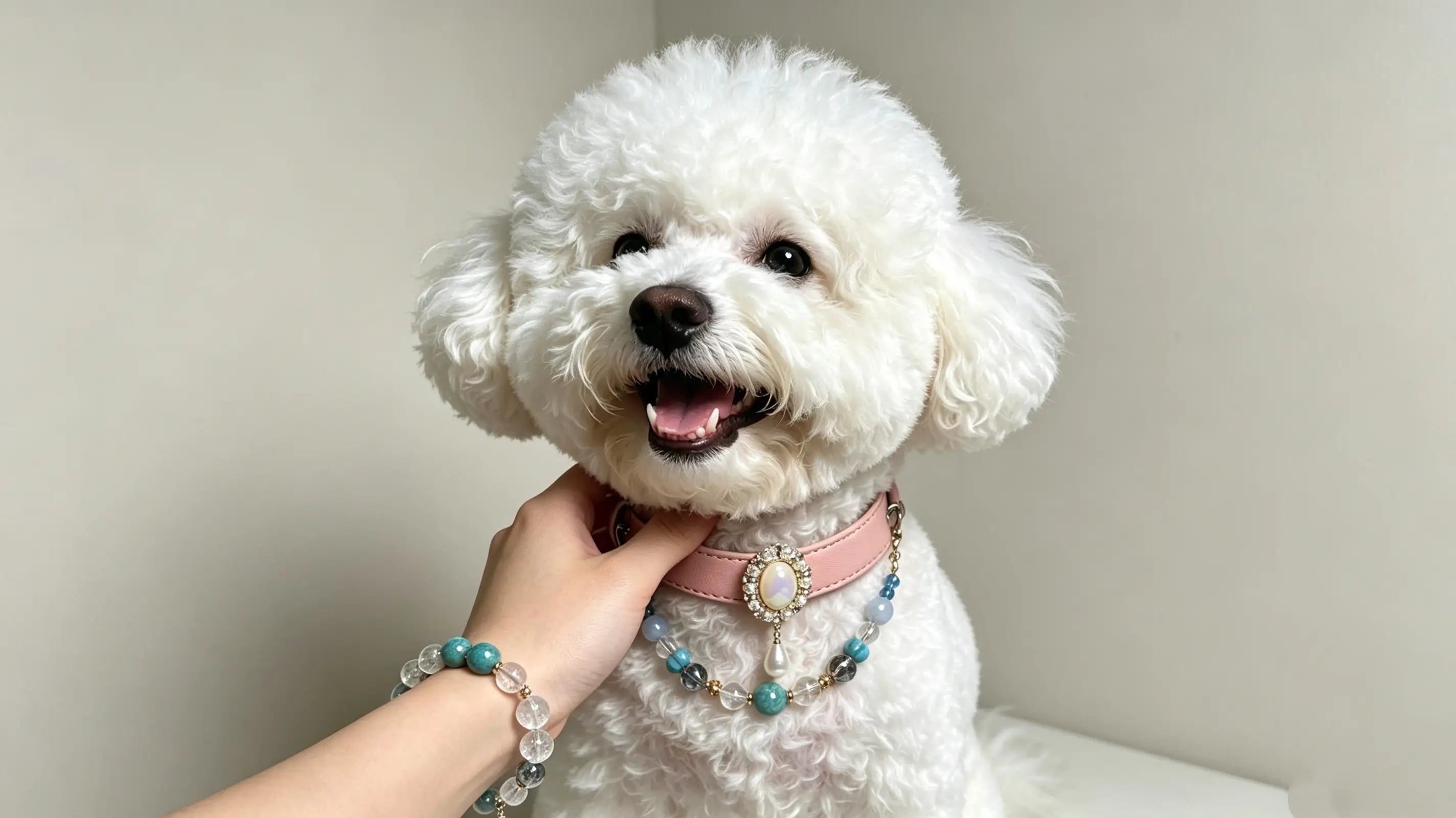 Dog collars with healing crystals, gemstone accents and unique pet accessory design